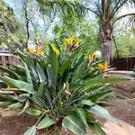 Neriana Villa - Garden Paradise